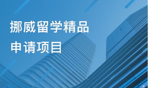 成都金堂縣出國(guó)留學(xué)培訓(xùn)機(jī)構(gòu)盤點(diǎn)與選擇指南